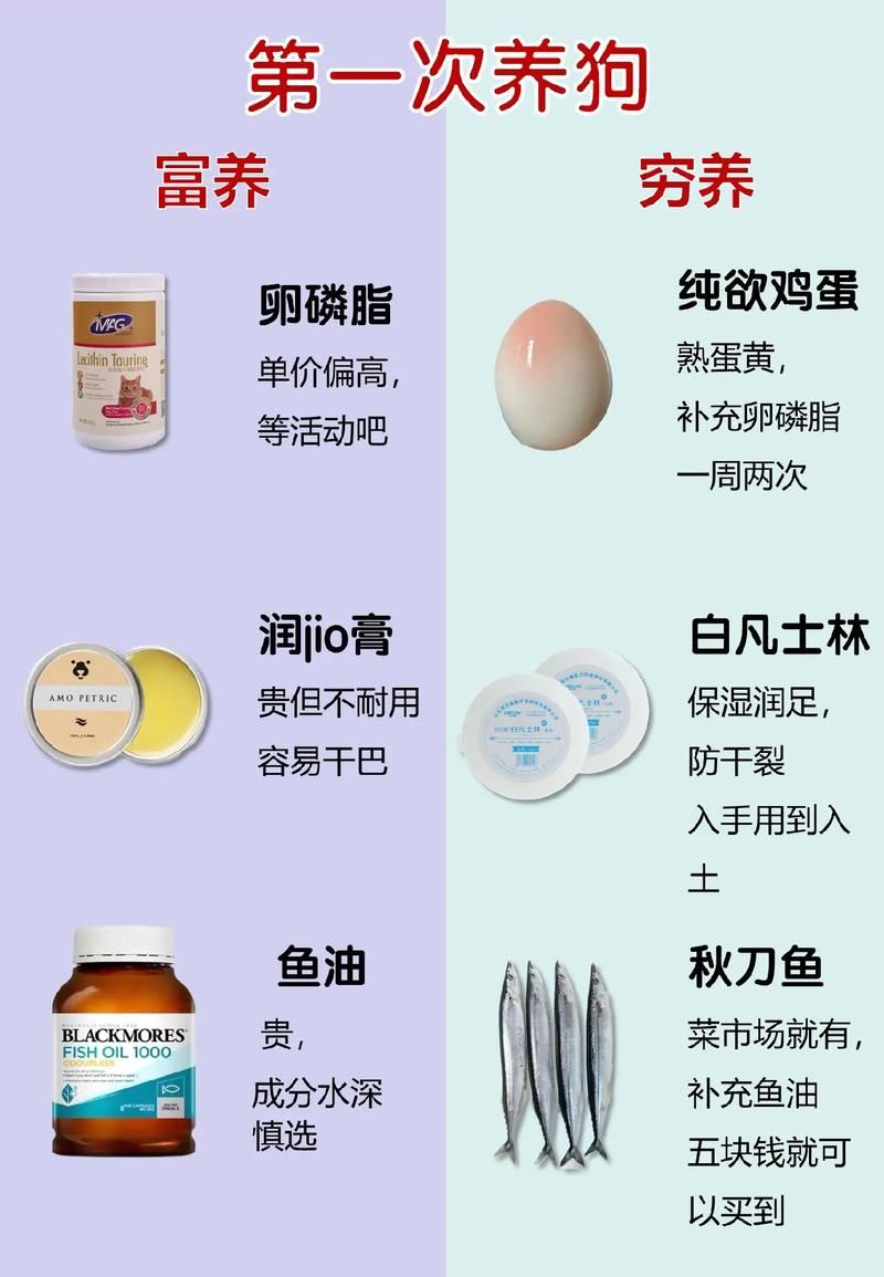 旺旺狗自动答题器下载安装教程新手必看指南