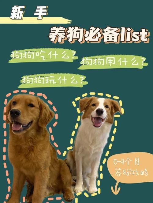旺旺狗自动答题器下载安装教程新手必看指南