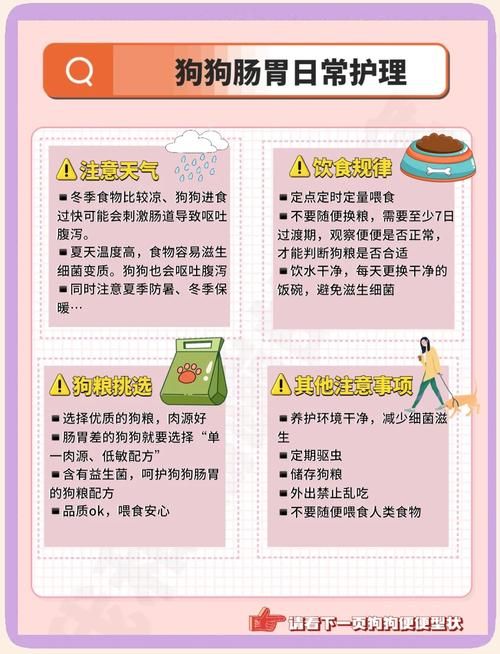 旺旺狗自动答题器下载安装教程新手必看指南