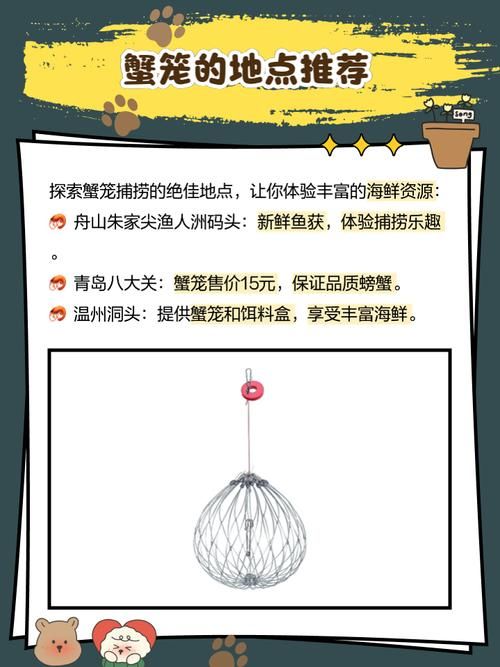 星露谷蟹笼怎么用 教你快速捕获海鲜技巧