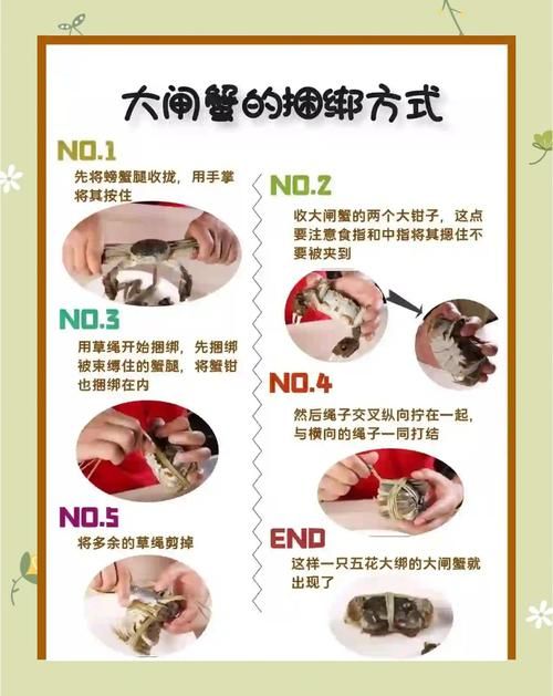 星露谷蟹笼怎么用 教你快速捕获海鲜技巧