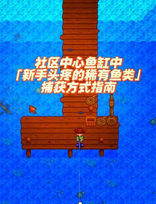 星露谷蟹笼怎么用 教你快速捕获海鲜技巧