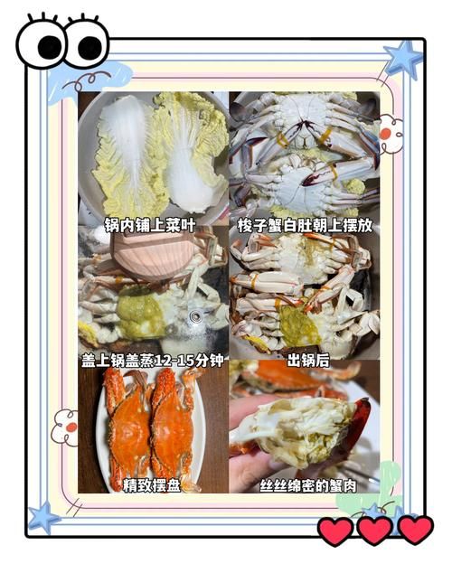 星露谷蟹笼怎么用 教你快速捕获海鲜技巧