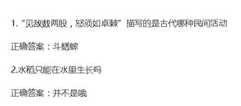 春节扫尘蚂蚁庄园今日答案 扫帚历史竟有四千年这么久