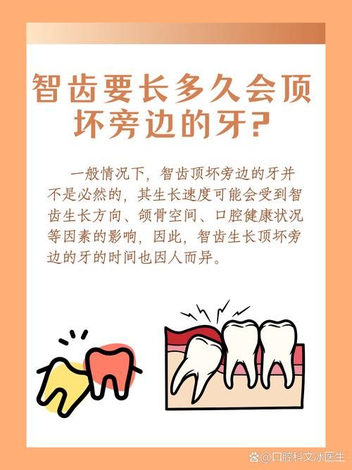 智齿人人都会长吗 不长智齿正常吗