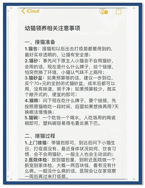 暖洋洋的猫猫村g攻略 新手必看玩法指南