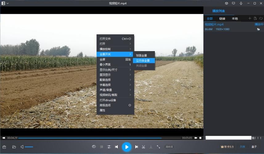 暴风影音怎么截图 实用技巧分享让你不再困惑