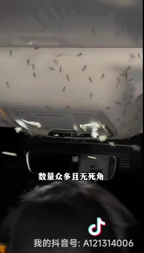 曝光世上最坑爹的玩意 第一个你肯定见过