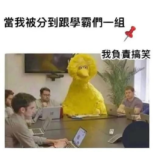 曹县护照是什么梗 网友都在玩的搞笑梗解析