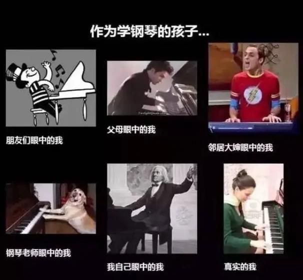 曹县护照是什么梗 网友都在玩的搞笑梗解析