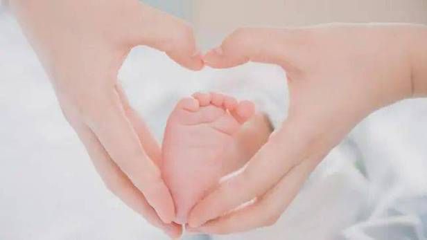 最小存活婴儿出院记 专家揭秘早产儿救治全过程