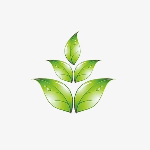 最新qq绿色免安装版 解压即用不占内存