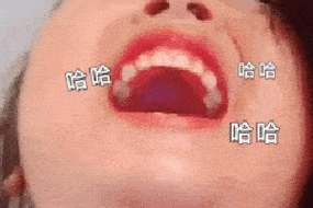 最新哈哈大笑qq表情合集 聊天必备搞笑动图