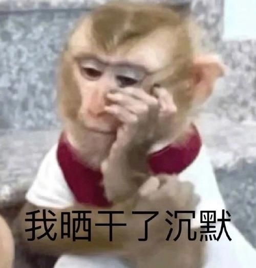 最新嘻哈猴qq表情包合集 搞笑表情一网打尽
