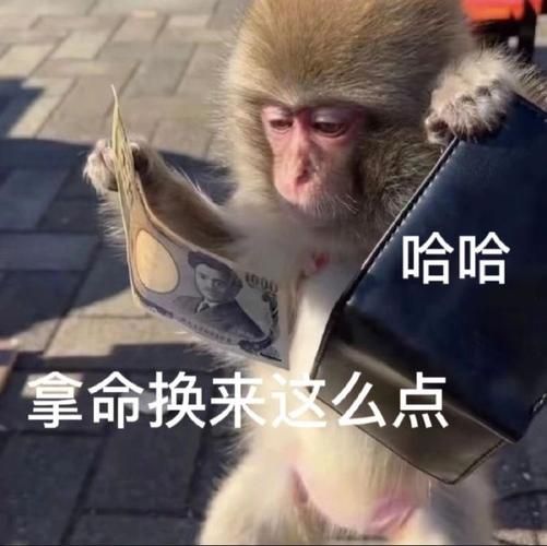 最新嘻哈猴qq表情包合集 搞笑表情一网打尽