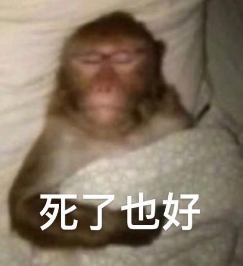 最新嘻哈猴qq表情包合集 搞笑表情一网打尽