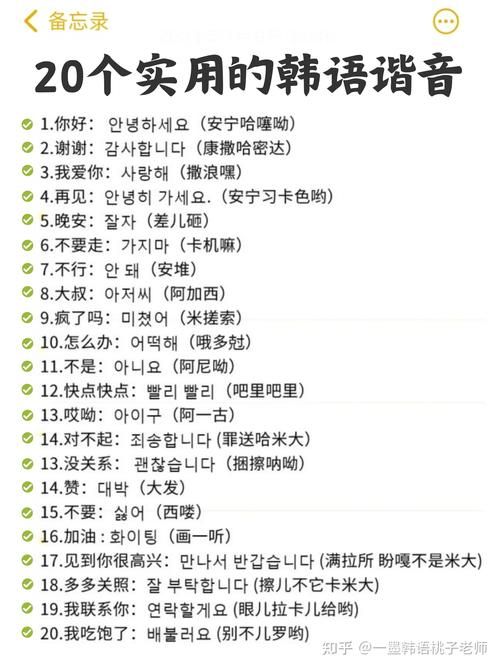 有道韩语在线翻译支持哪些文件格式一键上传