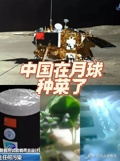 未来在月球种菜需要克服哪些技术难题