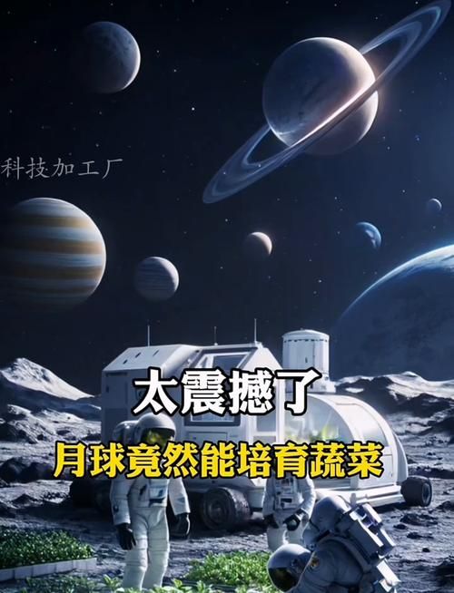 未来在月球种菜需要克服哪些技术难题
