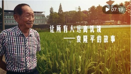 袁隆平去世了吗 揭秘杂交水稻之父近况如何