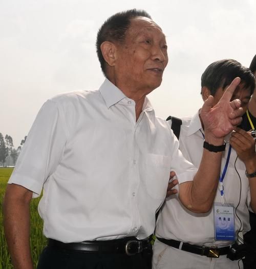 袁隆平去世了吗 揭秘杂交水稻之父近况如何