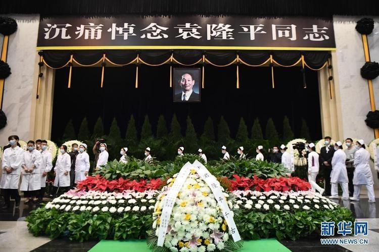袁隆平去世了吗 揭秘杂交水稻之父近况如何