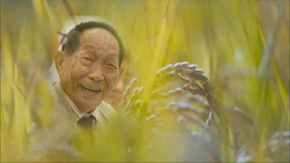 袁隆平去世病因是什么 了解这位伟人的医疗经历