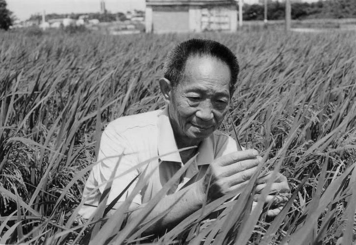 袁隆平去世病因是什么 了解这位伟人的医疗经历