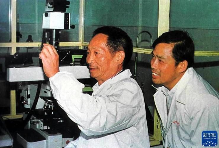 袁隆平是怎么死的揭秘杂交水稻之父去世真相