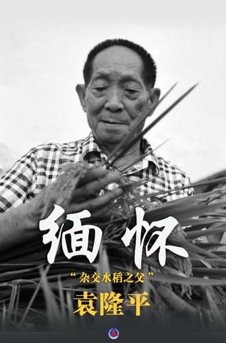 袁隆平是怎么死的揭秘杂交水稻之父去世真相