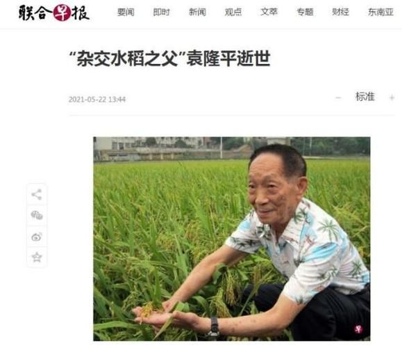 袁隆平是怎么死的揭秘杂交水稻之父去世真相