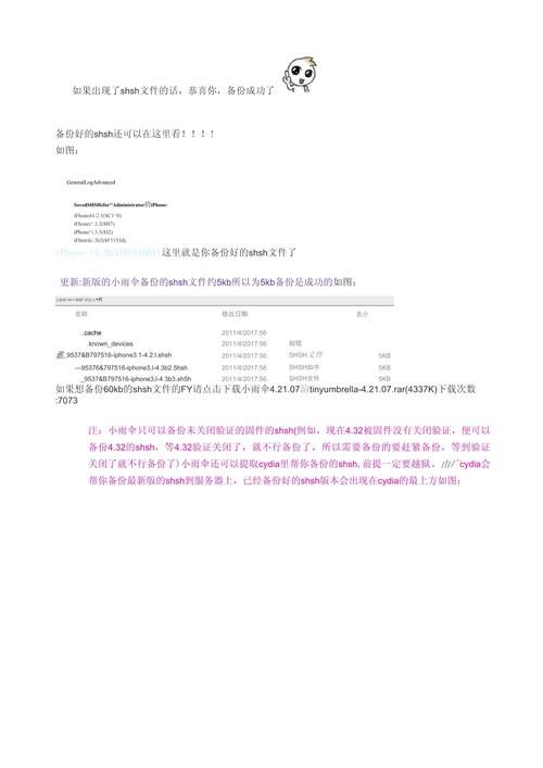 解决shsh备份工具常见问题的小技巧