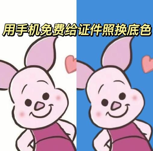 证件照换背景免费方法大全 总有一种适合你