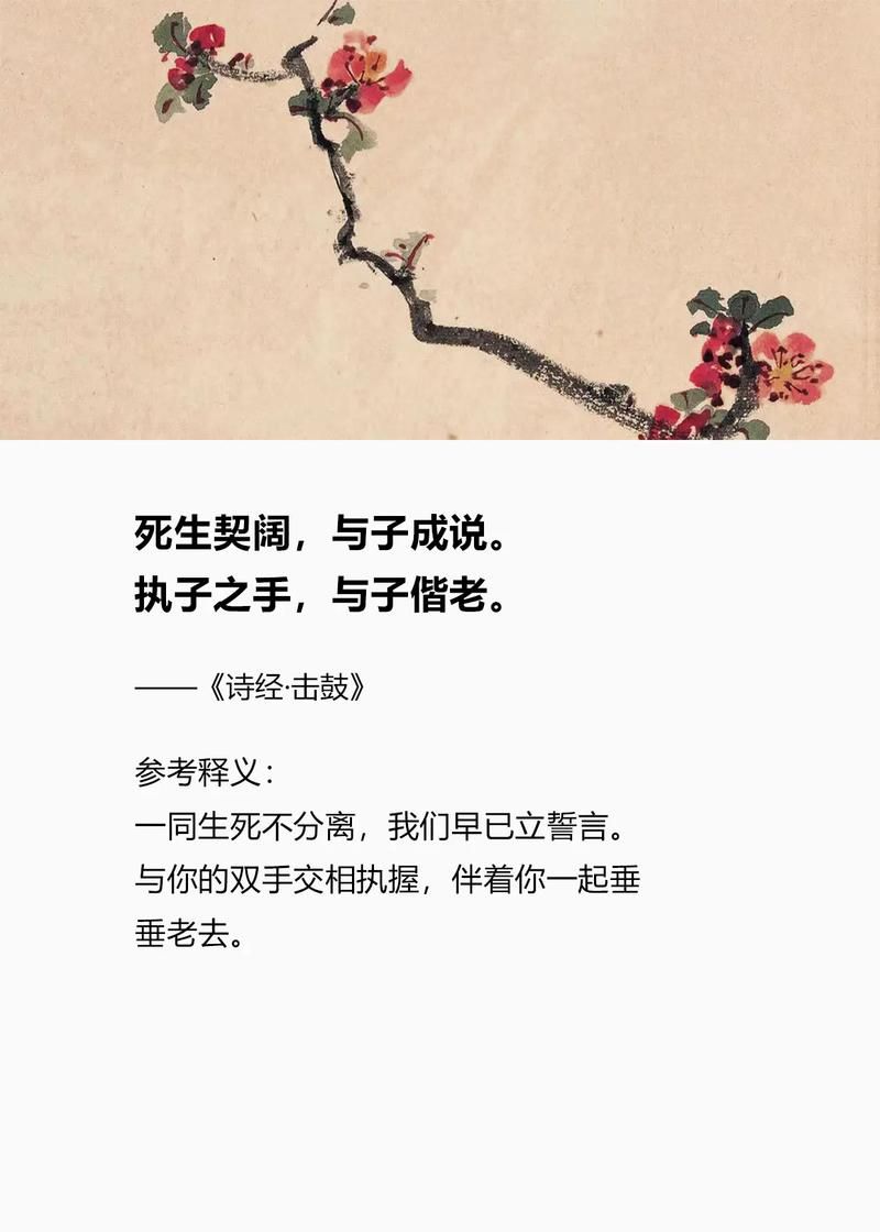 诗经有云死生契阔这句话到底是什么意思