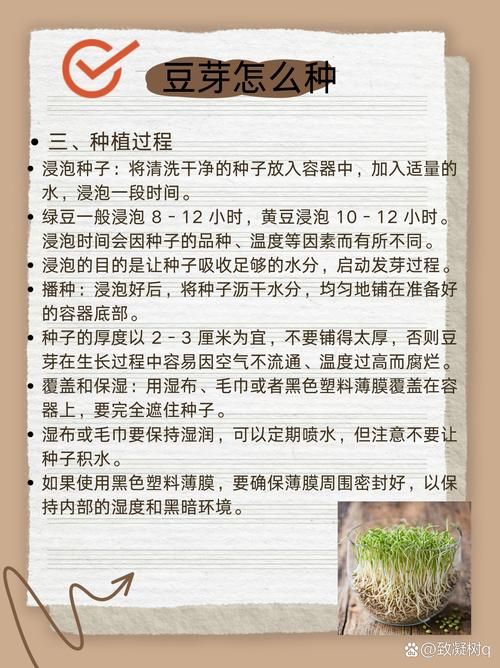 诞生之芽有什么用 一文带你了解它的全部作用