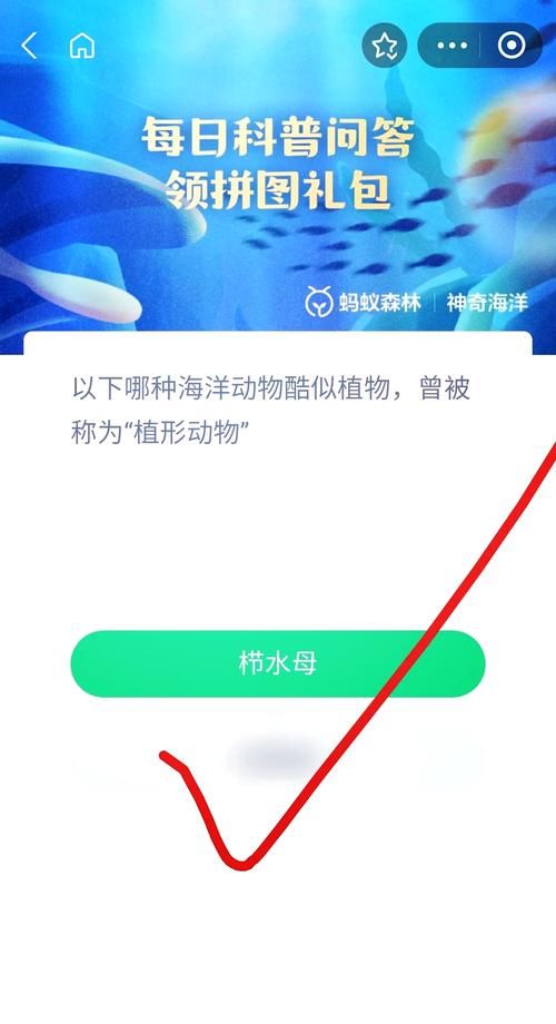诺贝尔奖蚂蚁庄园揭秘 你不知道的获奖趣事