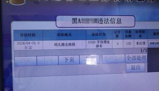 贵州车辆违章查询最新指南 轻松掌握查询技巧