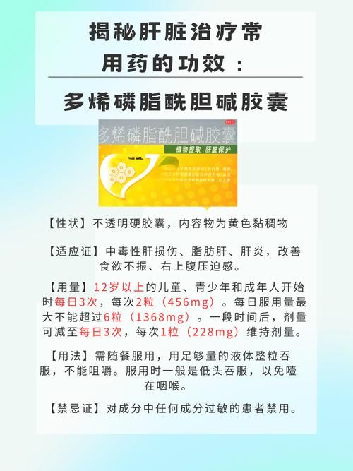 贾德的特制能量源是什么揭秘它的神奇功效