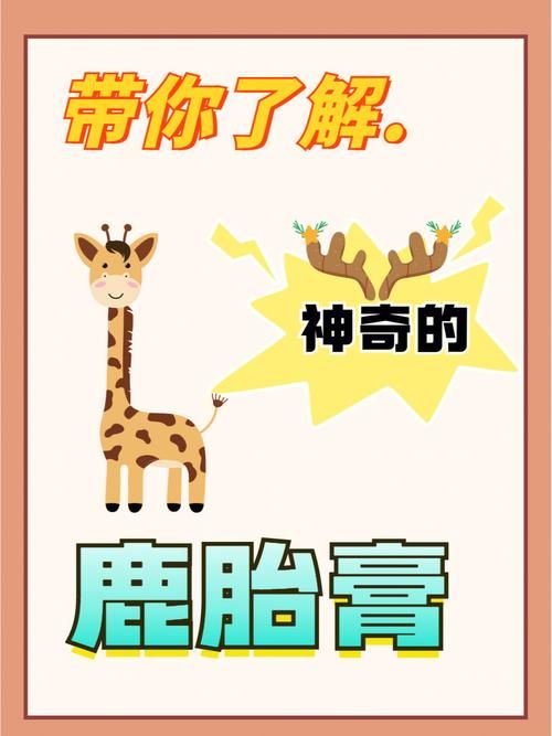 贾德的特制能量源是什么揭秘它的神奇功效