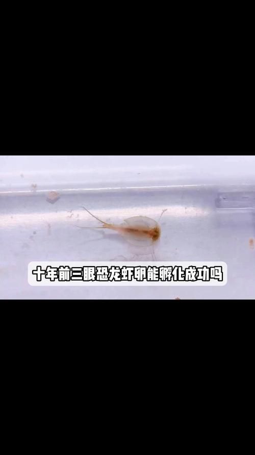 赛尔号2三眼石蝎怎么打 三眼石蝎技能属性全解析