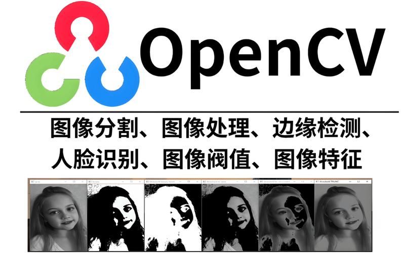赛酷ocr怎么用 新手必看的图文识别教程