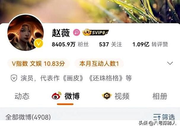 赵薇多作品被除名是否与封杀有关