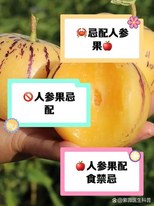 超级人参果市场价格多少 哪里买最划算