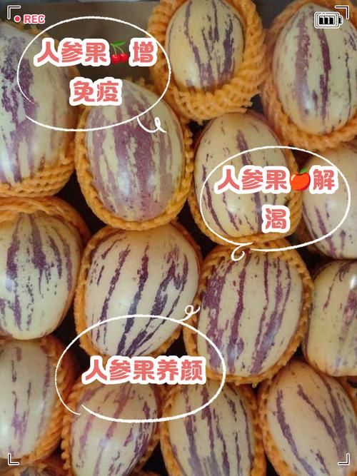 超级人参果市场价格多少 哪里买最划算