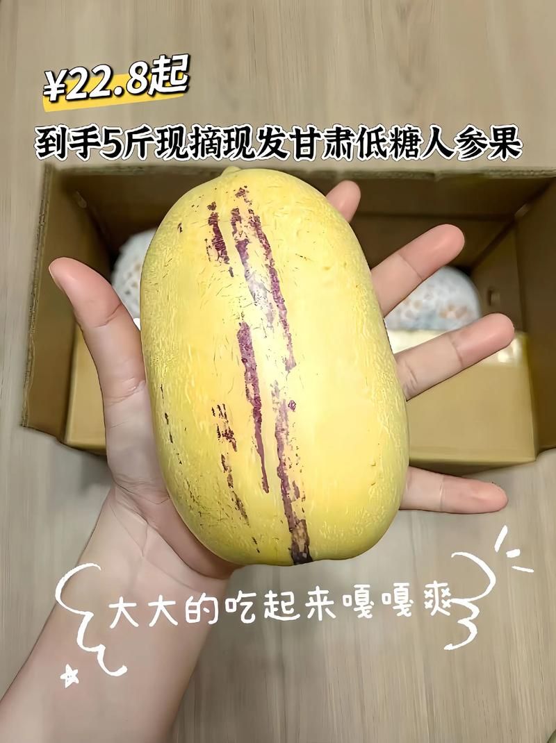 超级人参果市场价格多少 哪里买最划算