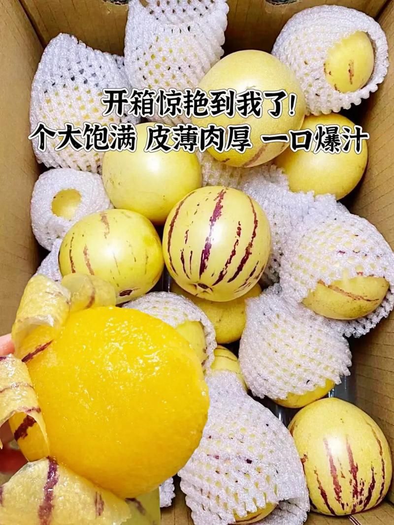 超级人参果市场价格多少 哪里买最划算