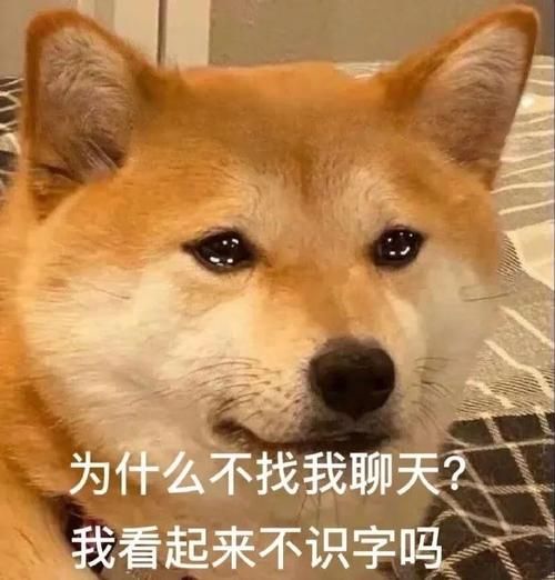 超级搞笑qq表情大全适合各种聊天场景