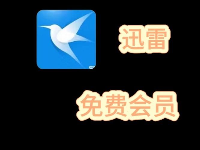 迅雷会员免费体验真实有效亲测可用
