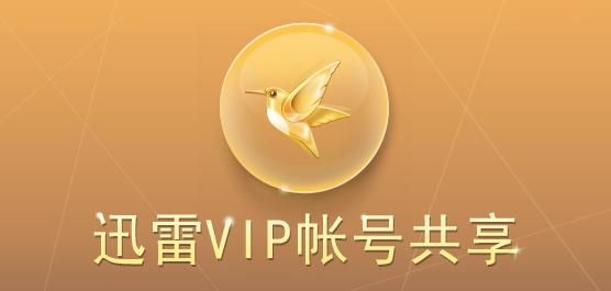 迅雷会员免费体验真实有效亲测可用