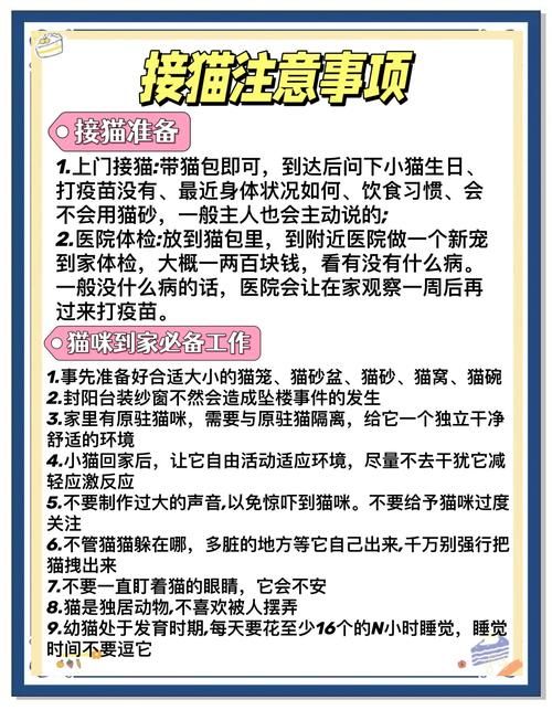 逃出可爱猫咪房间全关卡 详细图文教程带你过关